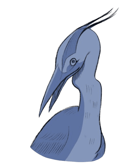 Heron
